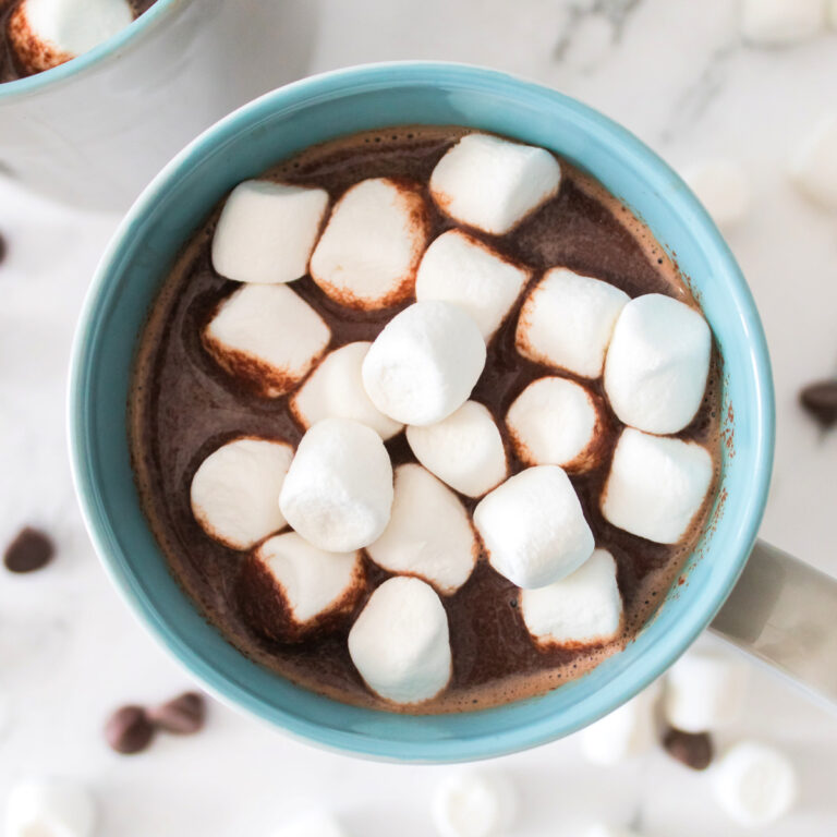 Cup of hot chocolate topped with miniature marshmallows.