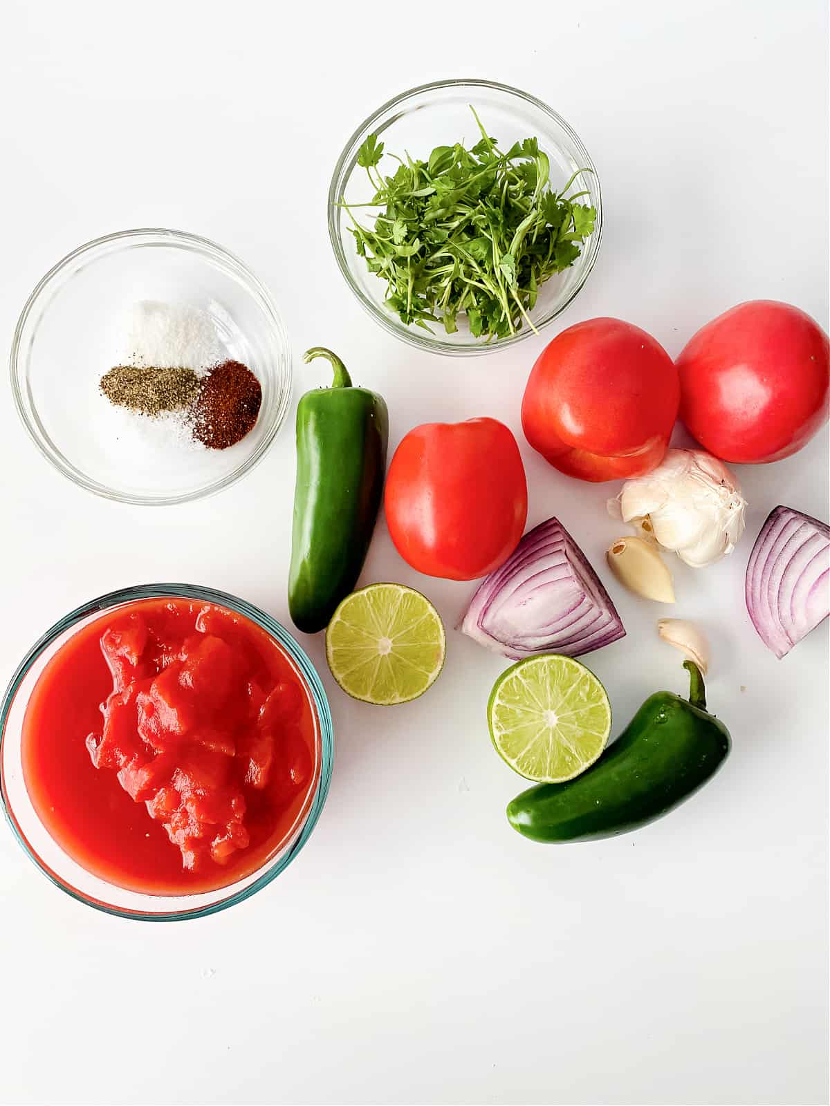 Cilantro, seasoning, tomatoes, limes, jalapenos, garlic, and red onions.